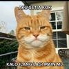 az_peaz