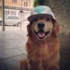 defnotlola2