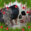 darleneoliver6
