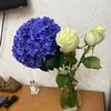 blog_0111