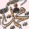 tahirali7933
