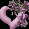 dyfyggc5gu1m
