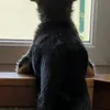 josefhulko
