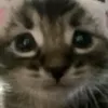 kheeukwjwmuwuekiwjemj