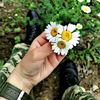 tarix__yazanlar
