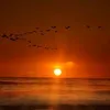 lightofzahra148