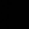 poly2895