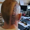 tiuzgermanius