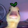 ilovegreenpape