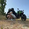 ale_doga_