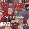spidygirl_webs
