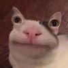 jabbathenuts