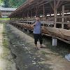 Irfanhilmi89