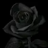 alidan_31