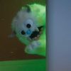 yeti.kyoungbae