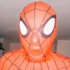spidermark790