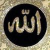 rasha5925