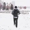 dswankynuts