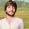 sanaullahzehri002