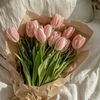 aisyah_abdllh11