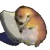 aioaoaoaiaoiaoia