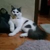 alvinatz7