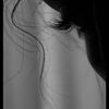 n_8688