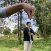 shiinchau