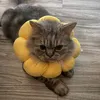motherearthme