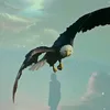 ahmedasaad15