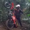 camoceloreng
