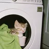 Para casa