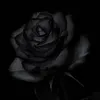 svbz_xsz