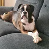 kimbettis1