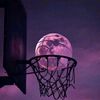 pixter23