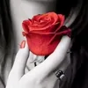 sazf20