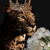 asmaa_hani