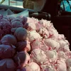 yarxnn4