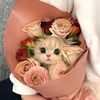 ahmad76812