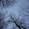 pauliina_mhp