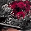 red6003