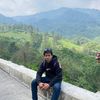 palll235