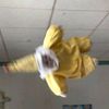 mango_pierrot
