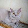 ter_kittipong007