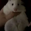 _pppppppp38