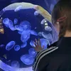 willkiskisss