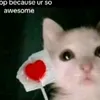 hiimmellow134