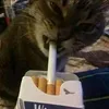 hunter__42069