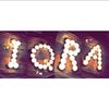 iqra16473