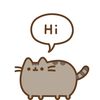 bb_pawss